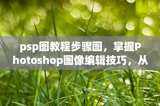 psp图教程步骤图，掌握Photoshop图像编辑技巧，从基础到进阶的PSP图教程
