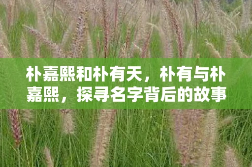 朴嘉熙和朴有天，朴有与朴嘉熙，探寻名字背后的故事