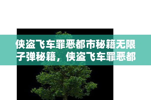 侠盗飞车罪恶都市秘籍无限子弹秘籍，侠盗飞车罪恶都市秘籍，解锁无限子弹的秘籍与技巧