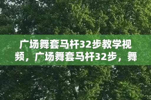 广场舞套马杆32步教学视频，广场舞套马杆32步，舞动生活的艺术