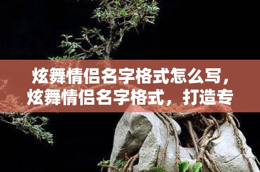 炫舞情侣名字格式怎么写，炫舞情侣名字格式，打造专属浪漫昵称