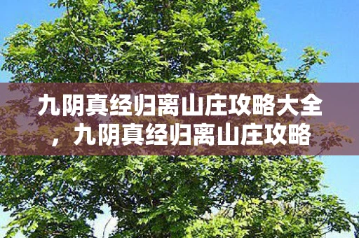 九阴真经归离山庄攻略大全，九阴真经归离山庄攻略