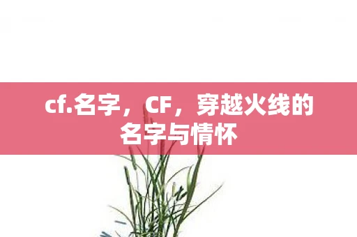 cf.名字，CF，穿越火线的名字与情怀
