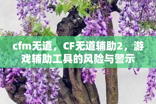 cfm无道，CF无道辅助2，游戏辅助工具的风险与警示