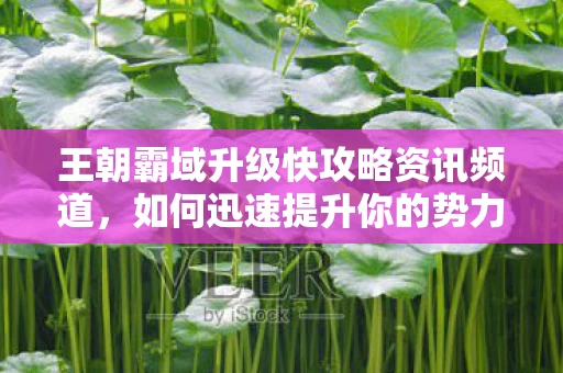 王朝霸域升级快攻略资讯频道图片