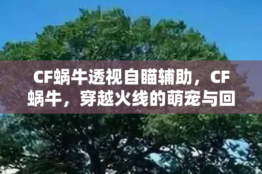 CF蜗牛透视自瞄辅助，CF蜗牛，穿越火线的萌宠与回忆