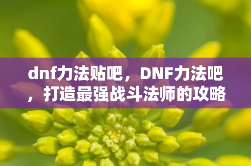 dnf力法贴吧，DNF力法吧，打造最强战斗法师的攻略与心得