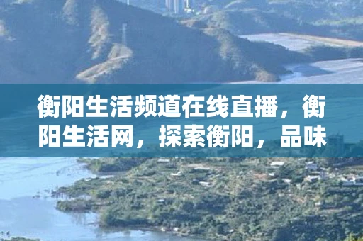 衡阳生活频道在线直播，衡阳生活网，探索衡阳，品味生活