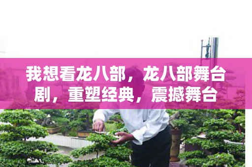 我想看龙八部，龙八部舞台剧，重塑经典，震撼舞台