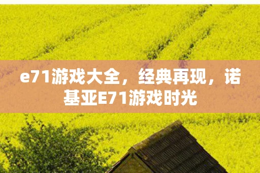 e71游戏大全，经典再现，诺基亚E71游戏时光
