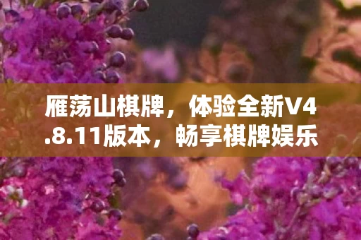 畅享棋牌娱乐新境界图片