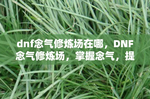 dnf念气修炼场在哪，DNF念气修炼场，掌握念气，提升战斗力的秘密基地