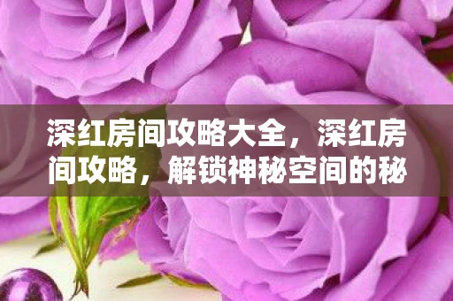 深红房间攻略大全，深红房间攻略，解锁神秘空间的秘密