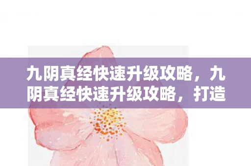 九阴真经快速升级攻略，九阴真经快速升级攻略，打造你的江湖之旅