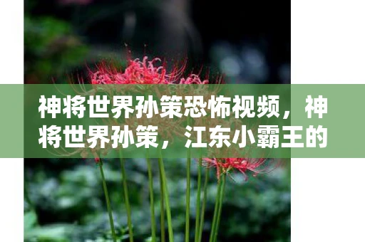 神将世界孙策恐怖视频，神将世界孙策，江东小霸王的传奇人生