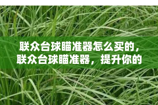 联众台球瞄准器怎么买的，联众台球瞄准器，提升你的台球技巧