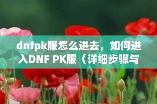 dnfpk服怎么进去，如何进入DNF PK服（详细步骤与注意事项）
