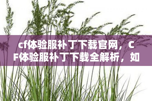 cf体验服补丁下载官网，CF体验服补丁下载全解析，如何获取并安装最新补丁