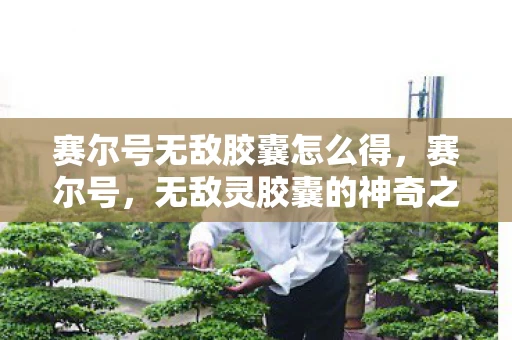 赛尔号无敌胶囊怎么得，赛尔号，无敌灵胶囊的神奇之旅