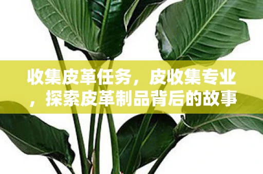 收集皮革任务，皮收集专业，探索皮革制品背后的故事