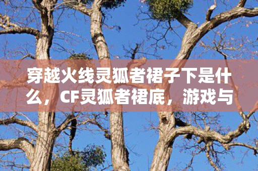 穿越火线灵狐者裙子下是什么，CF灵狐者裙底，游戏与现实的界限