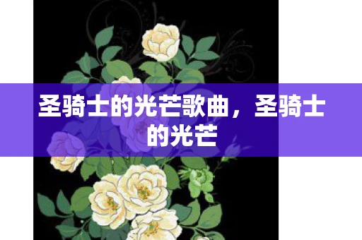 圣骑士的光芒歌曲，圣骑士的光芒