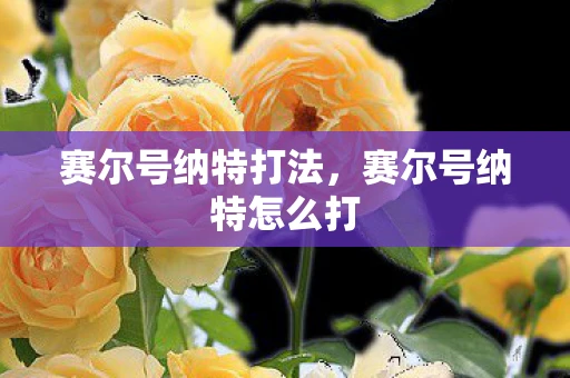 赛尔号纳特打法，赛尔号纳特怎么打