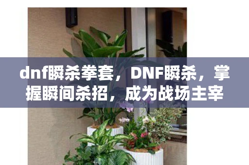 dnf瞬杀拳套，DNF瞬杀，掌握瞬间杀招，成为战场主宰