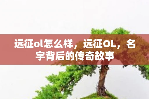 远征ol怎么样，远征OL，名字背后的传奇故事