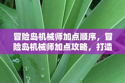 冒险岛机械师加点顺序，冒险岛机械师加点攻略，打造最强机械师