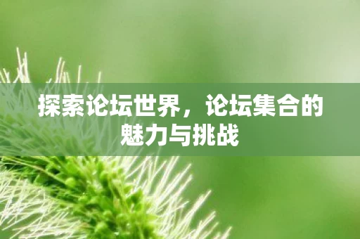论坛集合的魅力与挑战图片