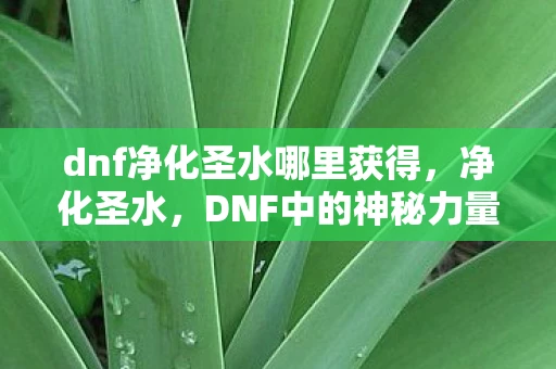 dnf净化圣水哪里获得，净化圣水，DNF中的神秘力量