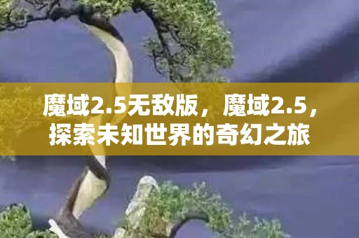 魔域2.5无敌版，魔域2.5，探索未知世界的奇幻之旅
