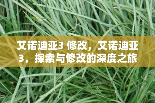 艾诺迪亚3 修改，艾诺迪亚3，探索与修改的深度之旅