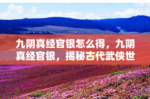 九阴真经官银怎么得，九阴真经官银，揭秘古代武侠世界的财富密码