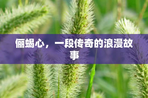 俪蝎心，一段传奇的浪漫故事