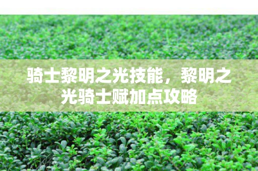 骑士黎明之光技能，黎明之光骑士赋加点攻略