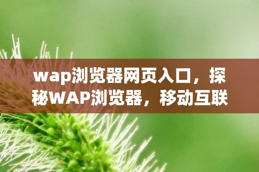wap浏览器网页入口，探秘WAP浏览器，移动互联网的先驱