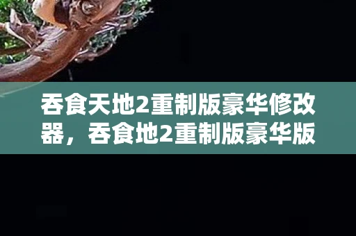 吞食天地2重制版豪华修改器，吞食地2重制版豪华版修改器，解锁无限可能的冒险之旅