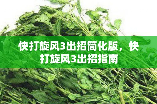 快打旋风3出招简化版，快打旋风3出招指南