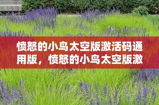 愤怒的小鸟太空版激活码通用版，愤怒的小鸟太空版激活码，解锁游戏新世界的钥匙