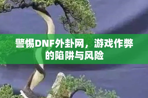 警惕DNF外卦网，游戏作弊的陷阱与风险