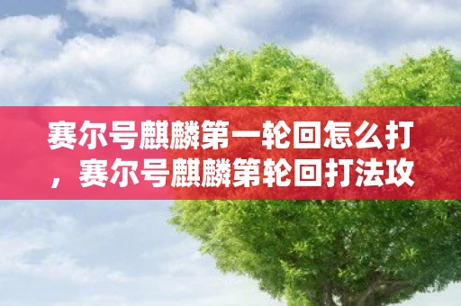 赛尔号麒麟第一轮回怎么打，赛尔号麒麟第轮回打法攻略