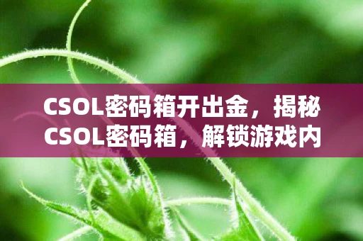 CSOL密码箱开出金，揭秘CSOL密码箱，解锁游戏内稀有道具的秘诀