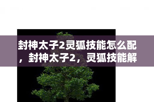 封神太子2灵狐技能怎么配，封神太子2，灵狐技能解析与实战应用