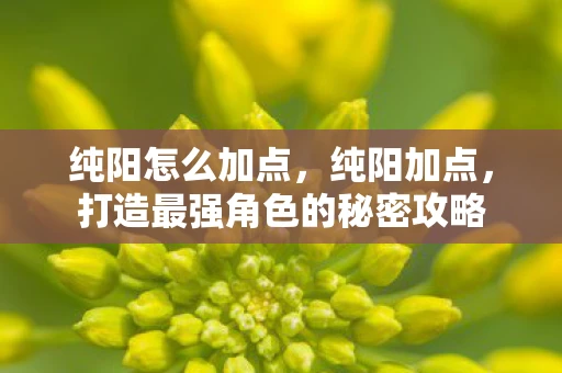 纯阳怎么加点，纯阳加点，打造最强角色的秘密攻略