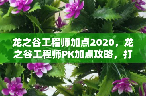 龙之谷工程师加点2020，龙之谷工程师PK加点攻略，打造无敌战斗机器