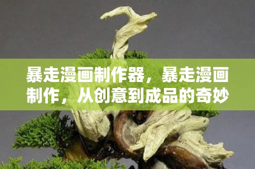 暴走漫画制作器，暴走漫画制作，从创意到成品的奇妙旅程