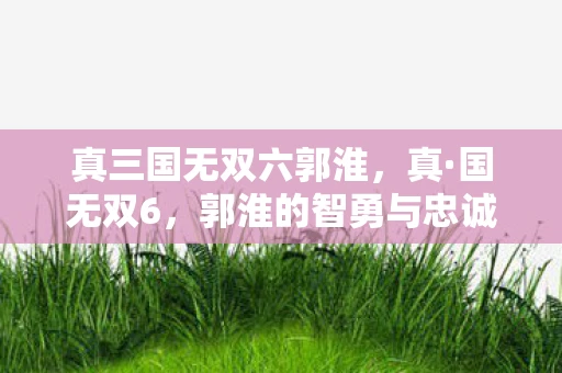 真三国无双六郭淮,真·国无双6,郭淮的智勇与忠诚 真三国无双六郭淮,真·国无双6,郭淮的智勇与忠诚