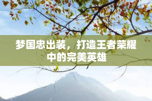 梦国忠出装，打造王者荣耀中的完美英雄